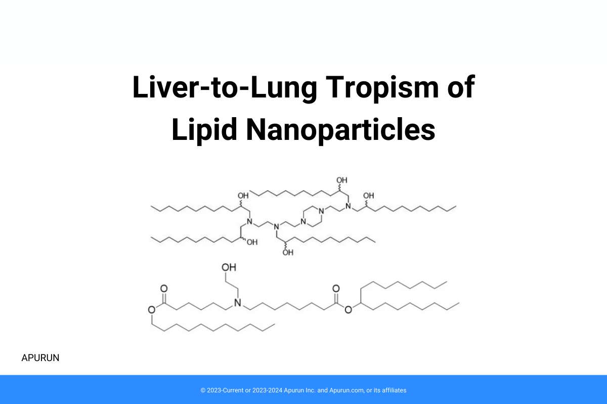 Cationic Lipid Pairs Enhance Liver-to-Lung Tropism of Lipid Nanoparticles for In Vivo mRNA Delivery