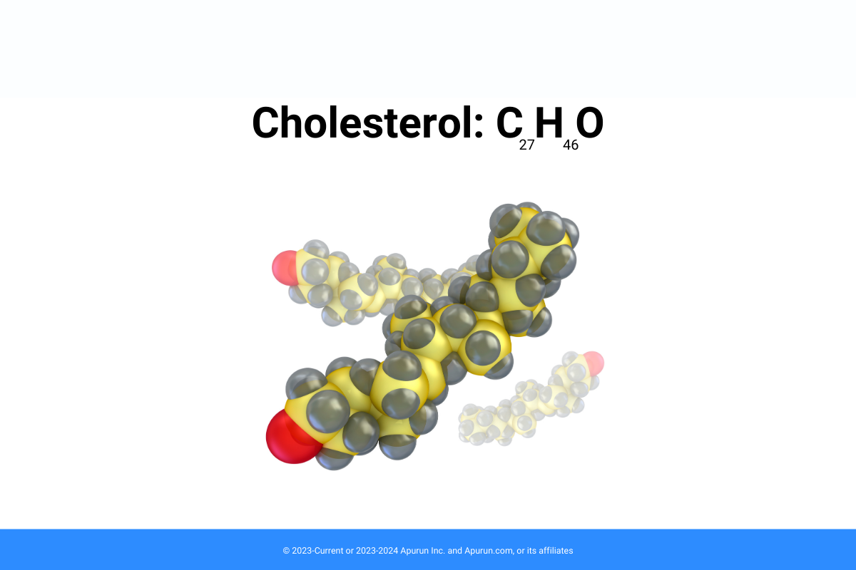 Cholesterol: Crucial Part of Membrane Integrity and Drug Product Stability -A Comprehensive Review