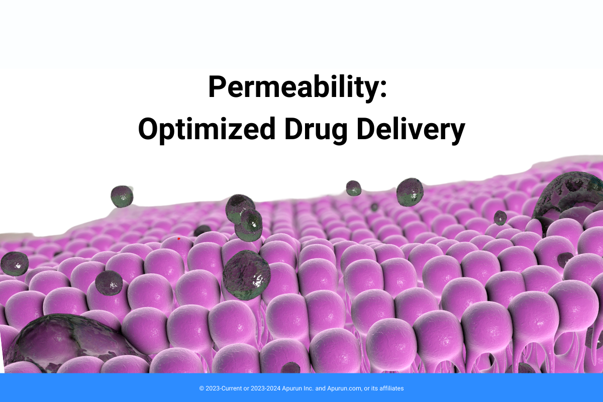 Enhancing Membrane Permeability for Optimized Drug Delivery: Insights and Strategies
