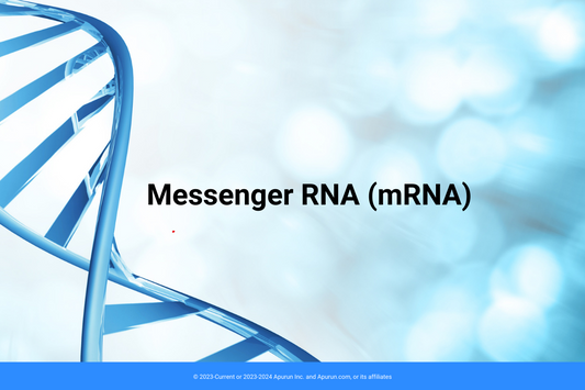 What is mRNA?