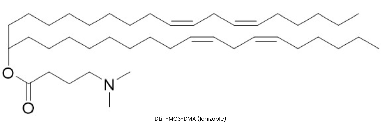DLin-MC3-DMA (Ionizable Lipid) in Ethanol
