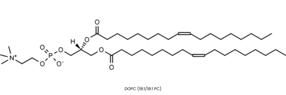 DOPC (18:1-18:1 PC)