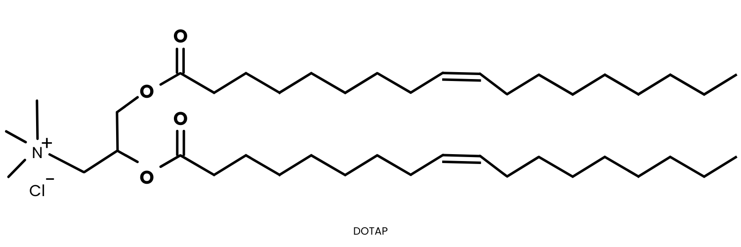 DOTAP (Cationic Lipid) in Ethanol