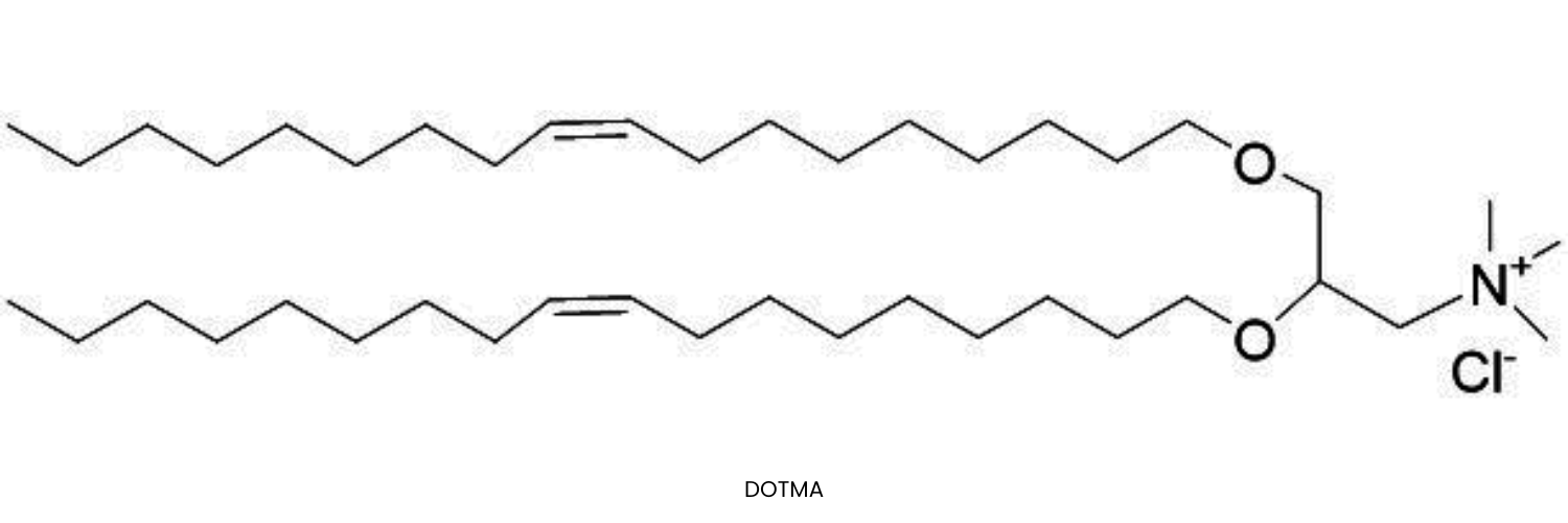 DOTMA (Cationic Lipid) in Ethanol