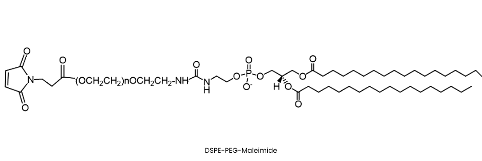 DSPE-PEG-Maleimide