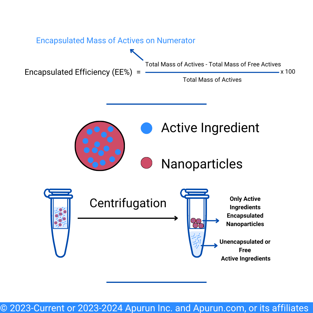 Encapsulation Efficiency (EE%)