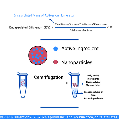 Encapsulation Efficiency (EE%)