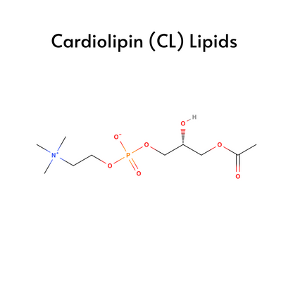 Production -  Small Volume Parenteral (SVP)