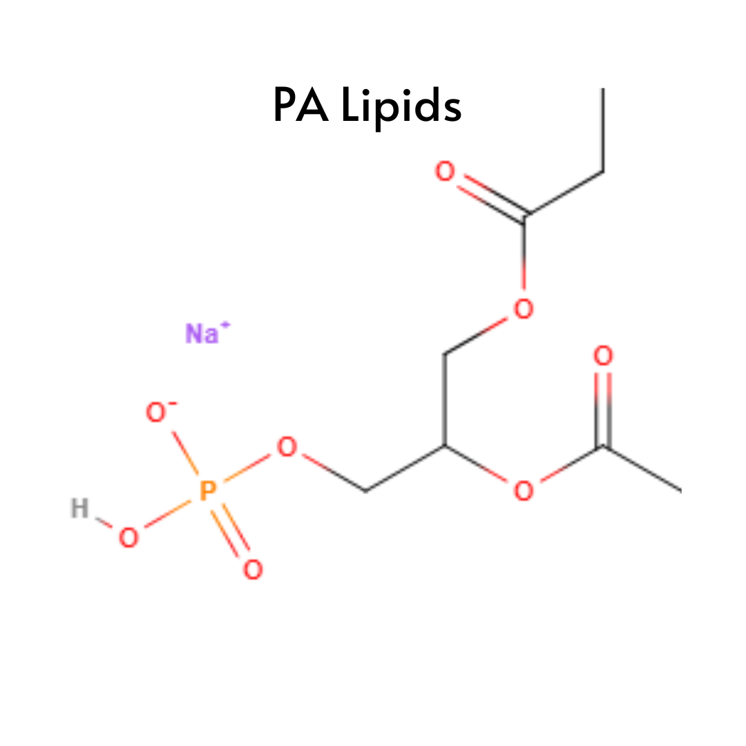 Phosphatidic Acid (PA) Lipids