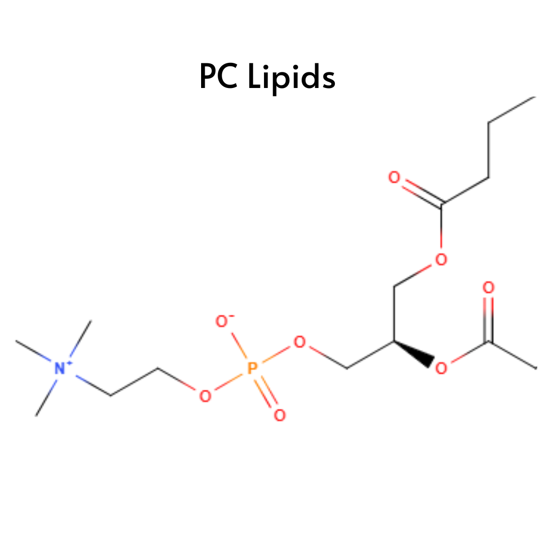 Phosphatidylcholine (PC) Lipids