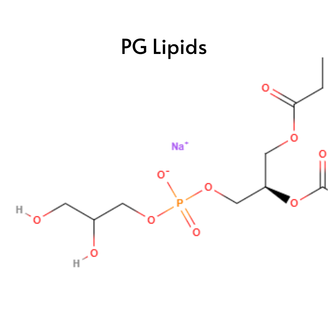 Phosphatidylglycerol (PG) Lipids