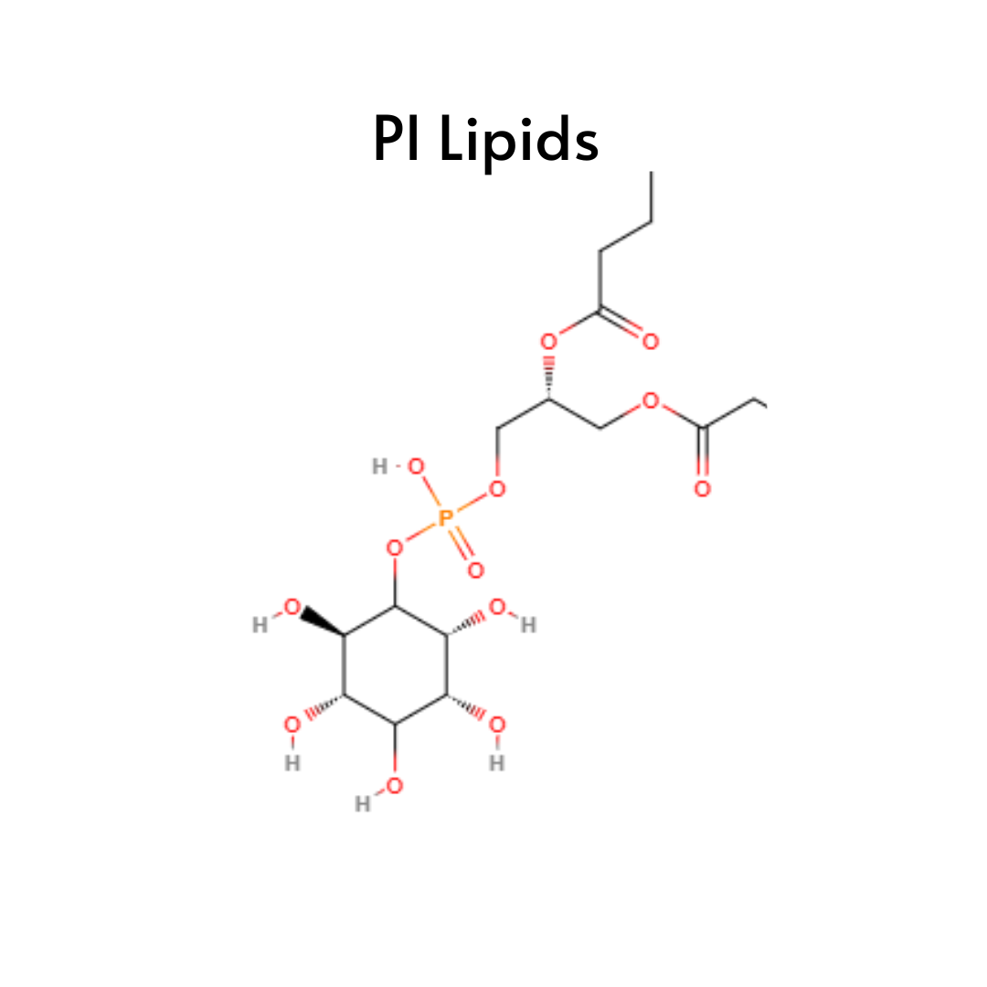 PI (Phosphatidylinositol) Lipids