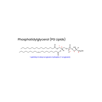 Anionic PG-Based Liposomes