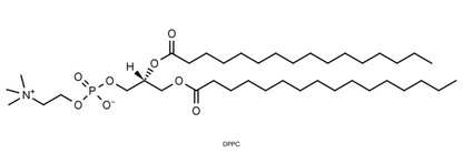 DPPC (16:0-16:0 PC)